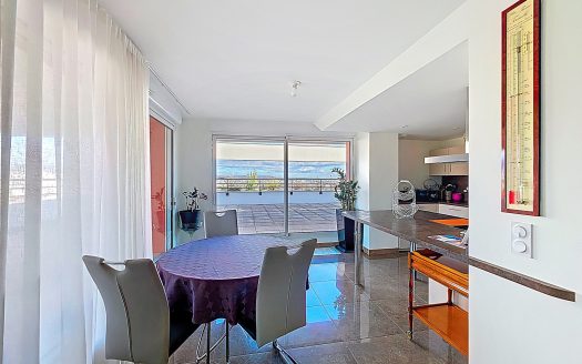 CLERMONT-FD SUD – Appartement sur le toit, 5 pièces, 156 m2 avec terrasse 266 m2 et double garage