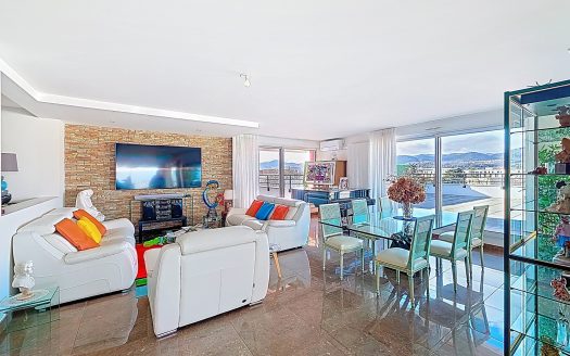 CLERMONT-FD SUD – Appartement sur le toit, 5 pièces, 156 m2 avec terrasse 266 m2 et double garage