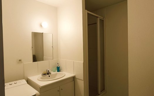 CLERMONT-FD – Investisseurs, Type 2 traversant avec balcons et parkings dans résidence récente