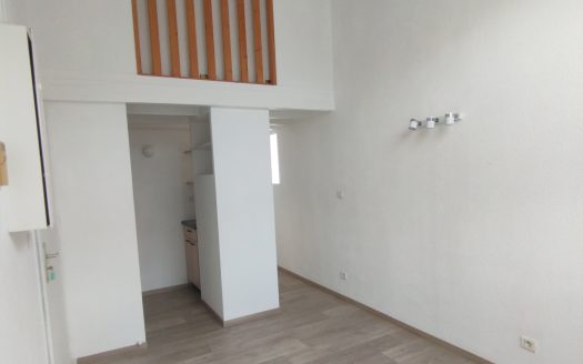 T1bis duplex Montaudoux